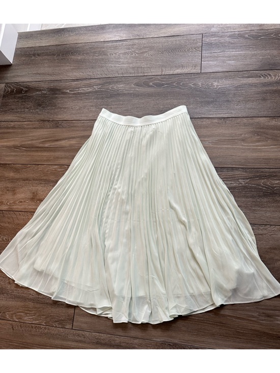 Jilly Box/ Gentle Fawn Light Green Skirt/Elastic Waist/ woman’s XL/ brand new - Picture 3 of 9
